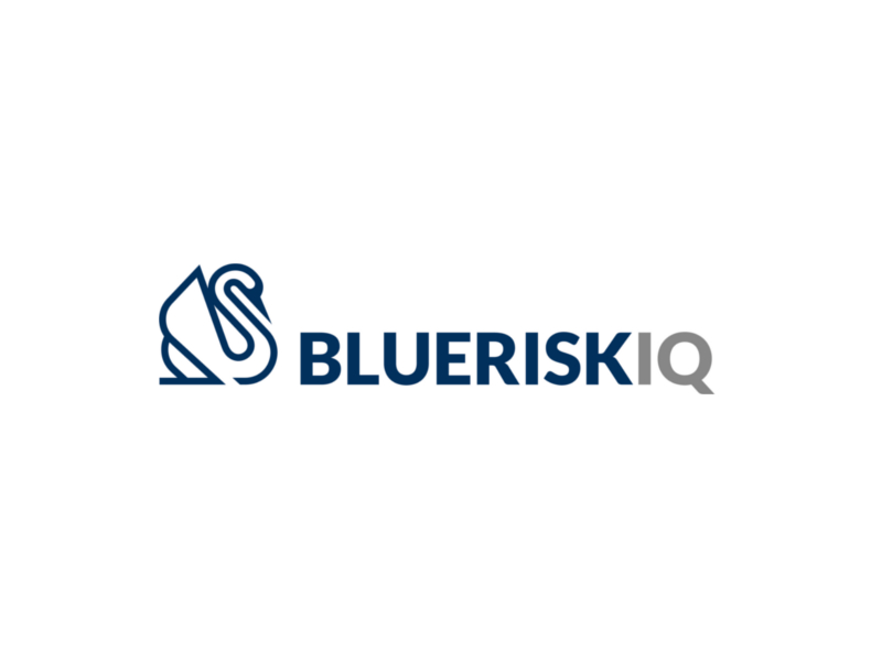 Blue risk Iq Logo